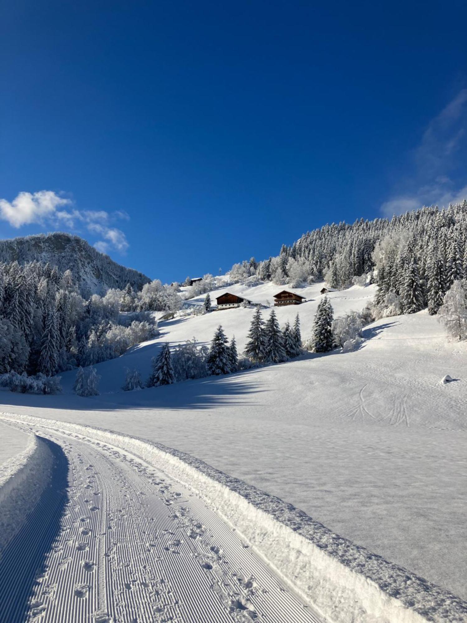 Appartement Knapp Wald im Pinzgau Kültér fotó